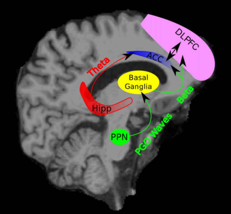 How to fall asleep quickly after working overtime and staying up late? My light therapy bedtime ritual.